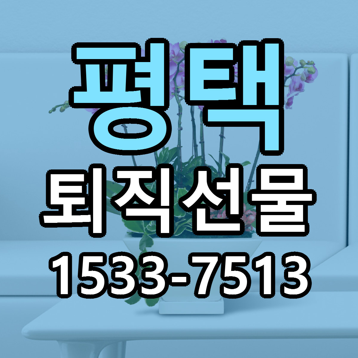 평택 퇴직선물 빠른배송 가격 저렴한곳 찾기