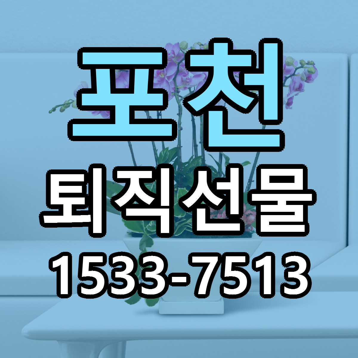포천 퇴직선물 근처꽃집 저렴한곳 빠른배송 서비스