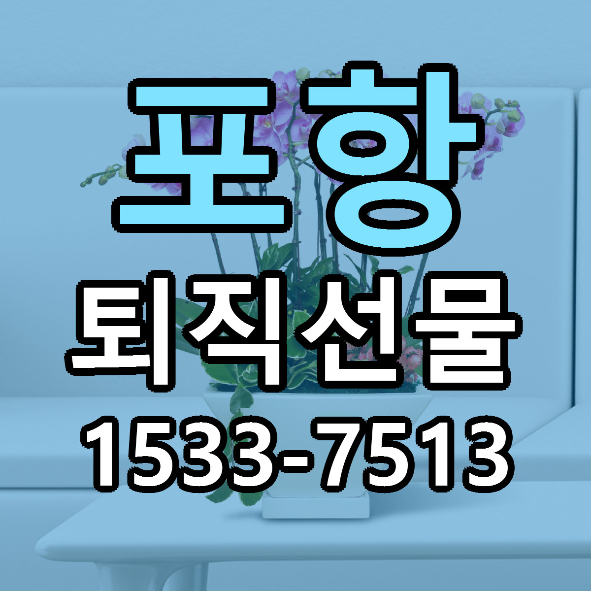 포항 퇴직선물 저렴한곳 당일배송 근처꽃집 추천