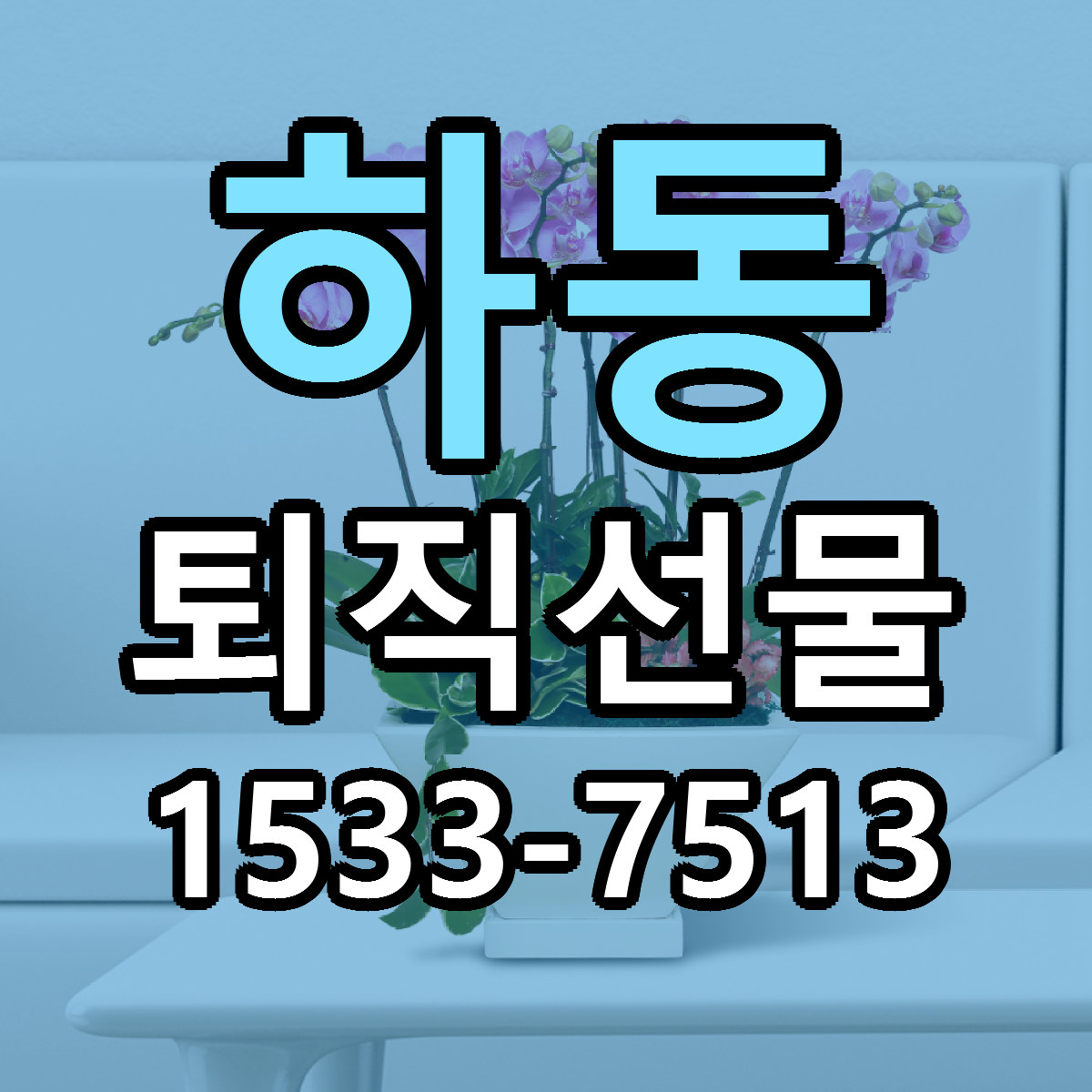 하동 퇴직선물 당일배송 리본문구 빠른배송 서비스