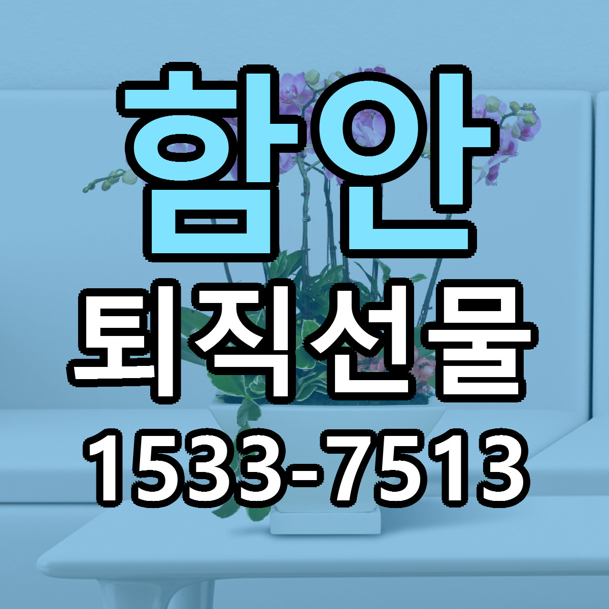 함안 퇴직선물 리본문구 서비스 저렴한곳 빠른배송