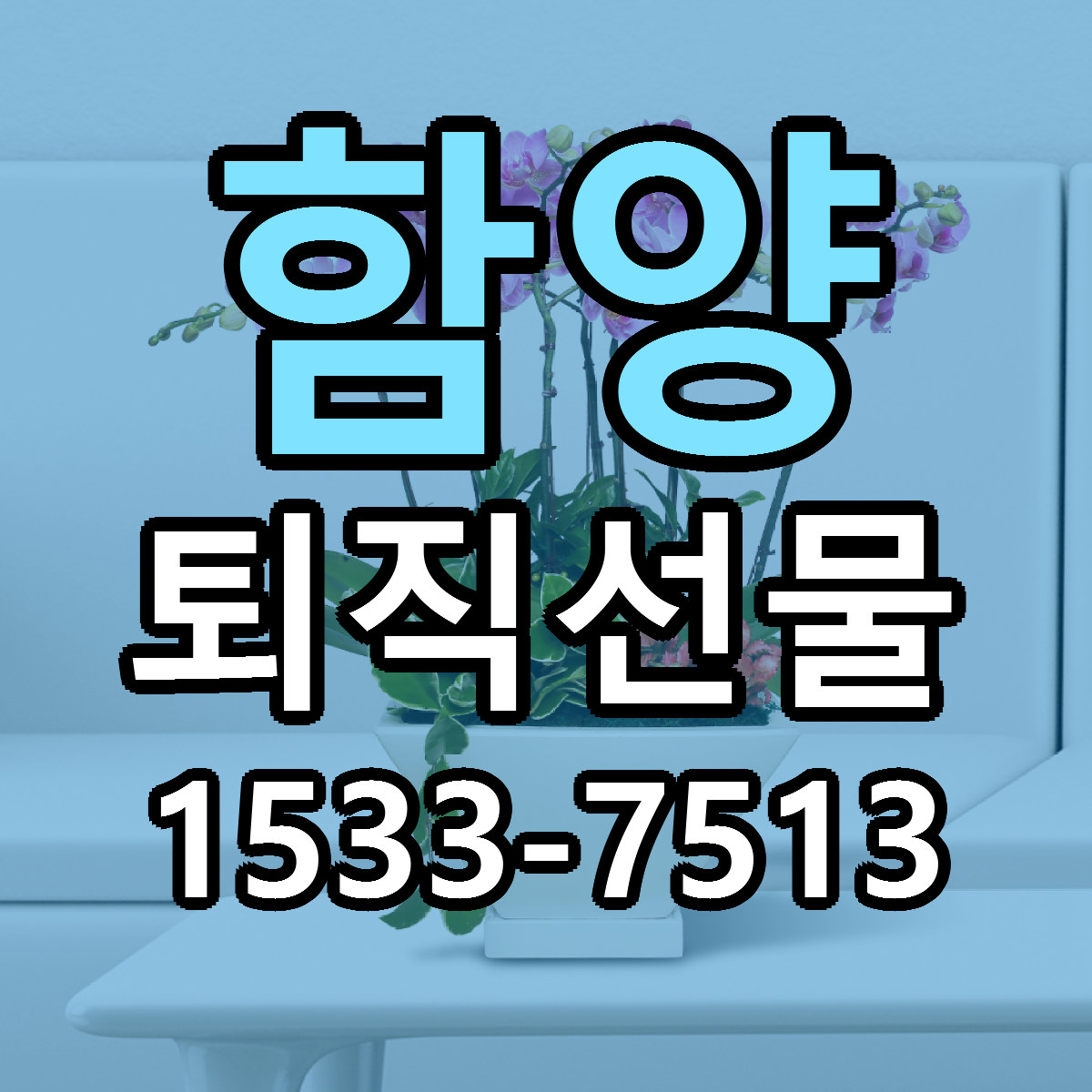 함양 퇴직선물 근처꽃집 당일배송 싼곳 추천