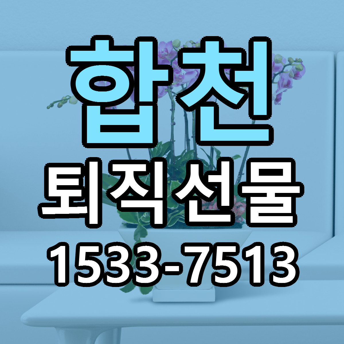 합천 퇴직선물 당일배송 싼곳 리본문구 안내