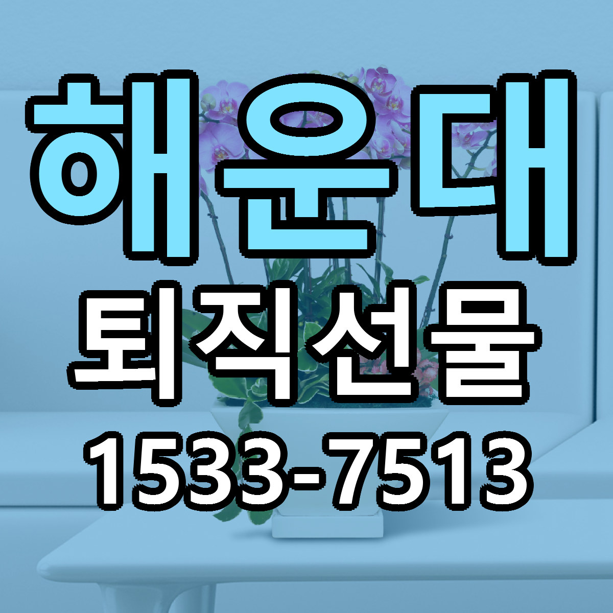 해운대 퇴직선물 리본문구 서비스 저렴한곳 빠른배송