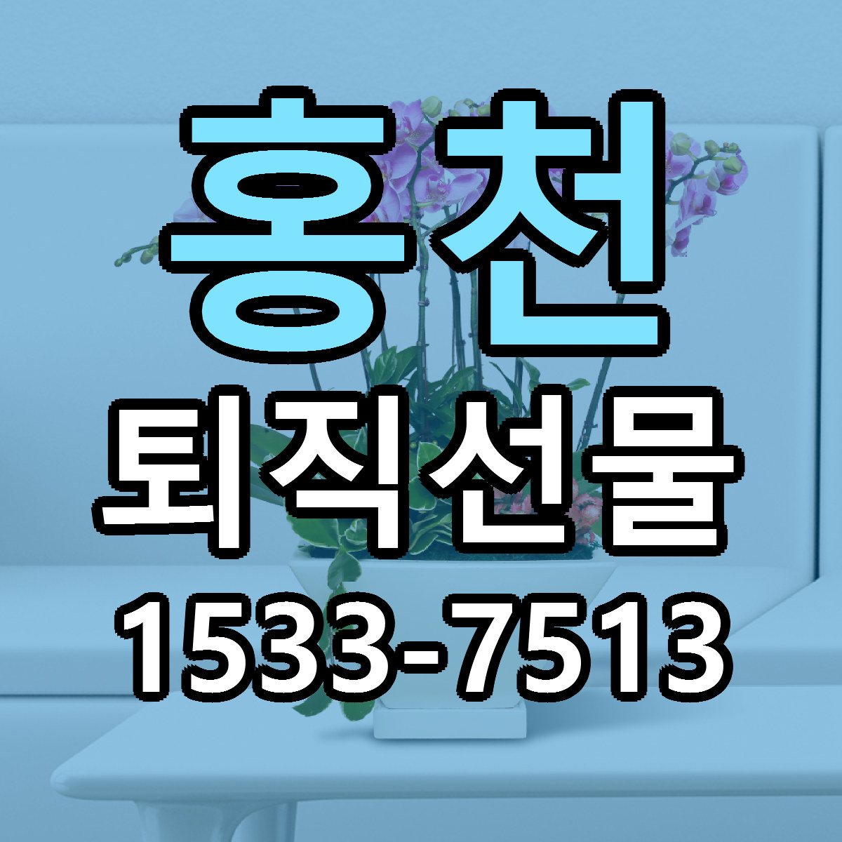 홍천 퇴직선물 근처꽃집 당일배송 가격 안내