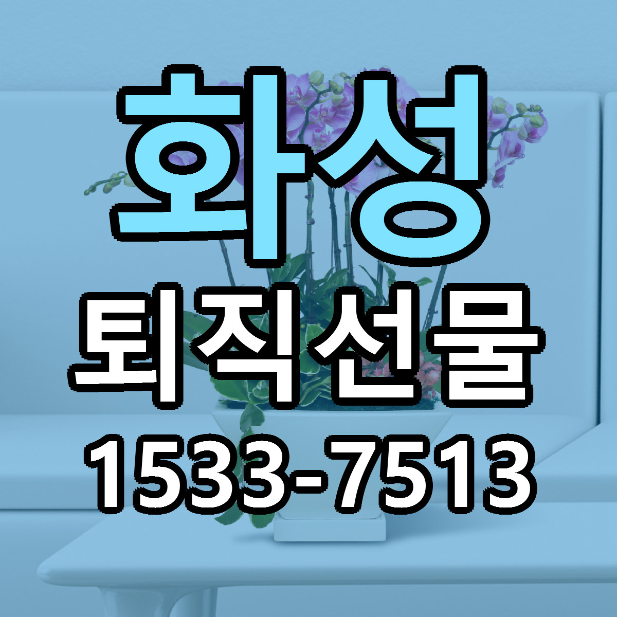 화성 퇴직선물 근처꽃집 당일배송 싼곳 추천