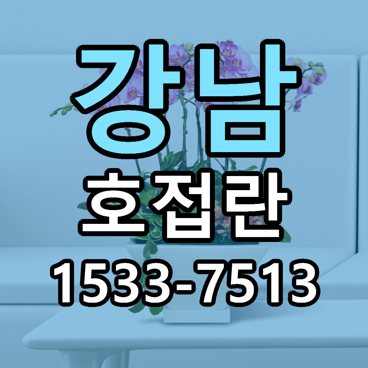 강남 호접란 근처꽃집 당일배송 리본문구 서비스