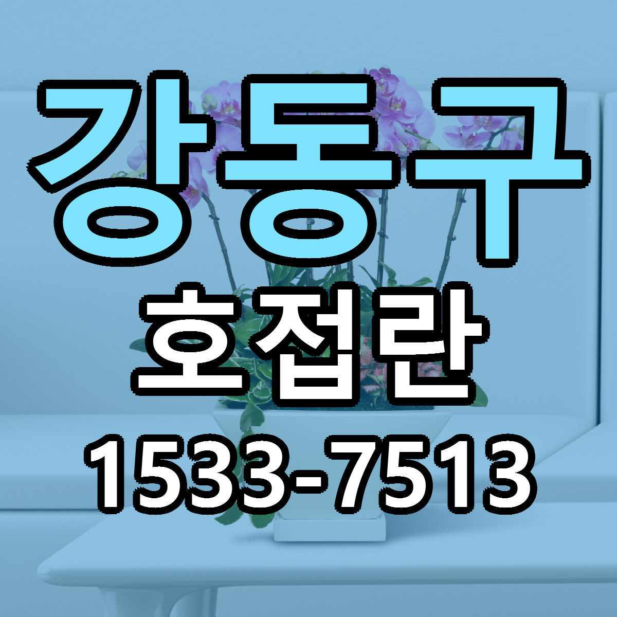 강동구 호접란 리본문구 서비스 저렴한곳 빠른배송