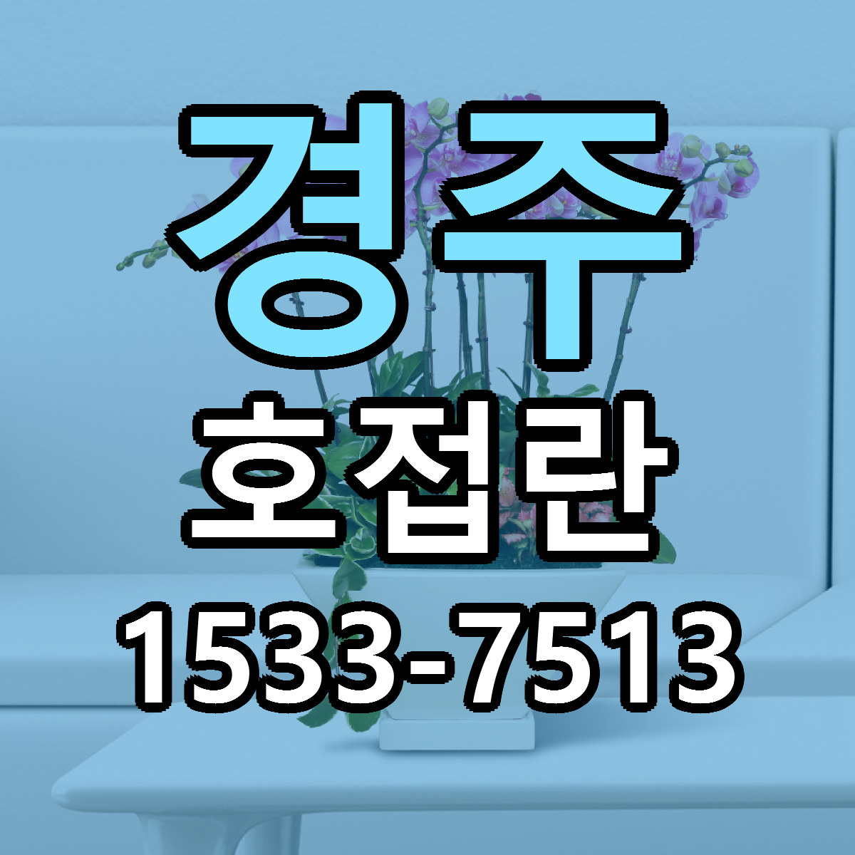 경주 호접란 싼곳 당일배송 리본문구 작성