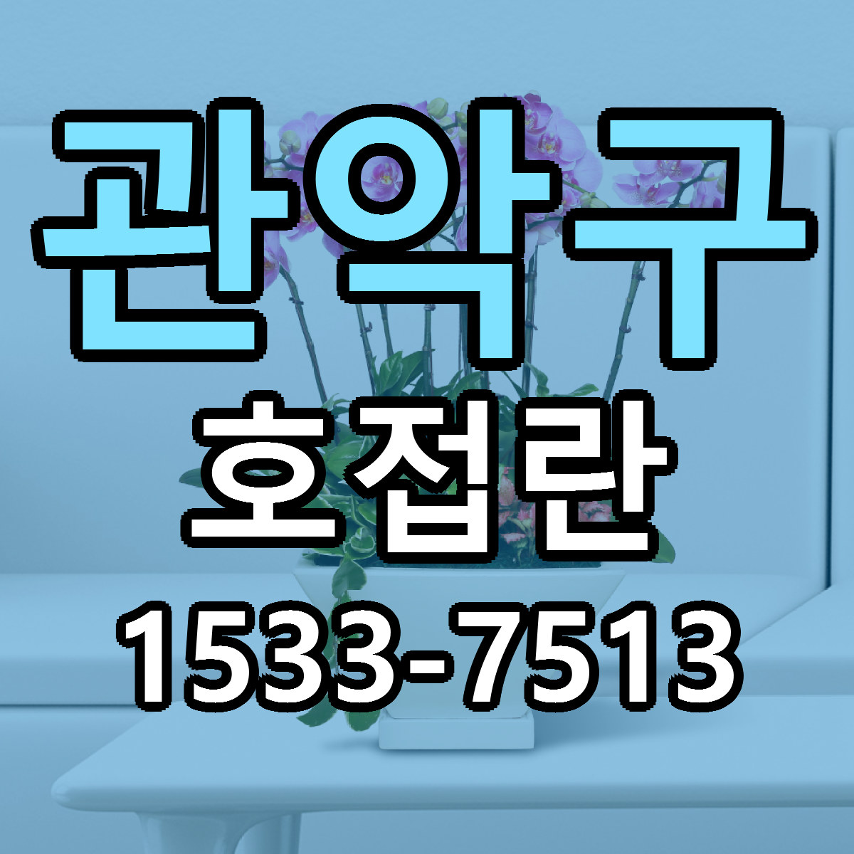 관악구 호접란 싼곳 당일배송 리본문구 작성