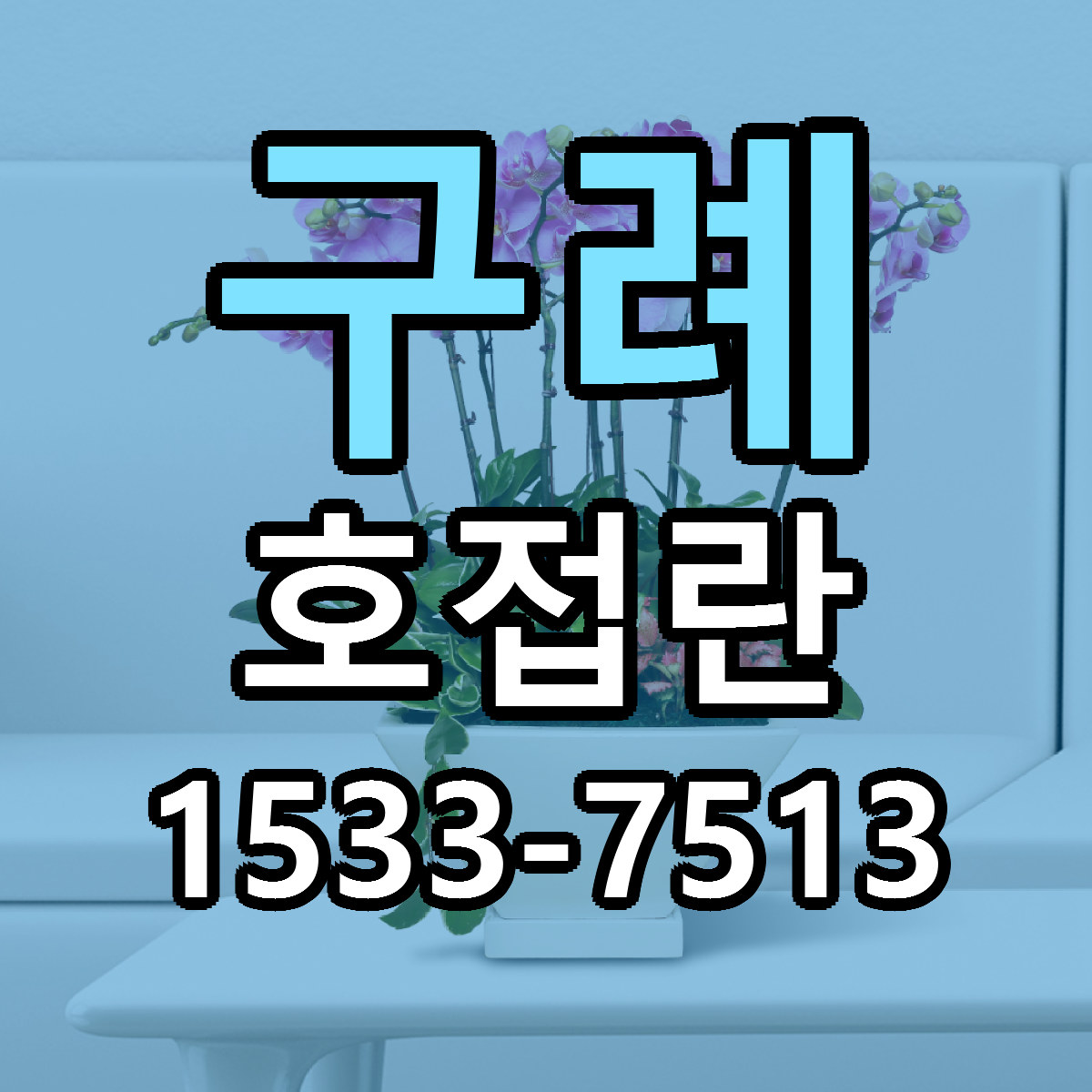구례 호접란 근처꽃집 저렴한곳 빠른배송 서비스