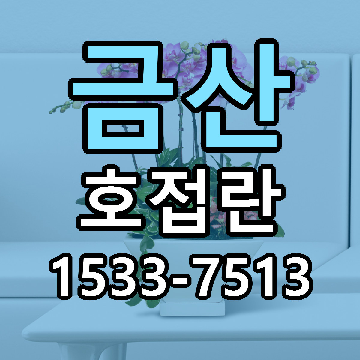 금산 호접란 리본문구 싼곳 빠른배송 예약