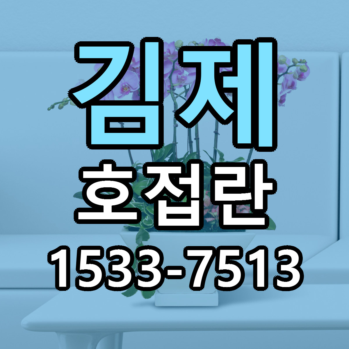 김제 호접란 리본문구 근처꽃집 저렴한곳 예약