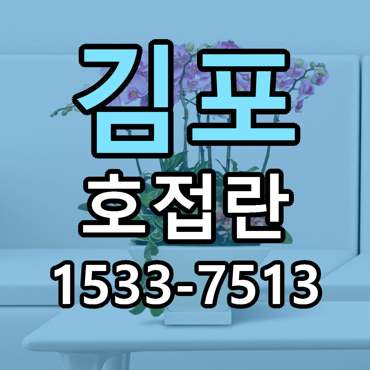 김포 호접란 리본문구 싼곳 빠른배송 예약
