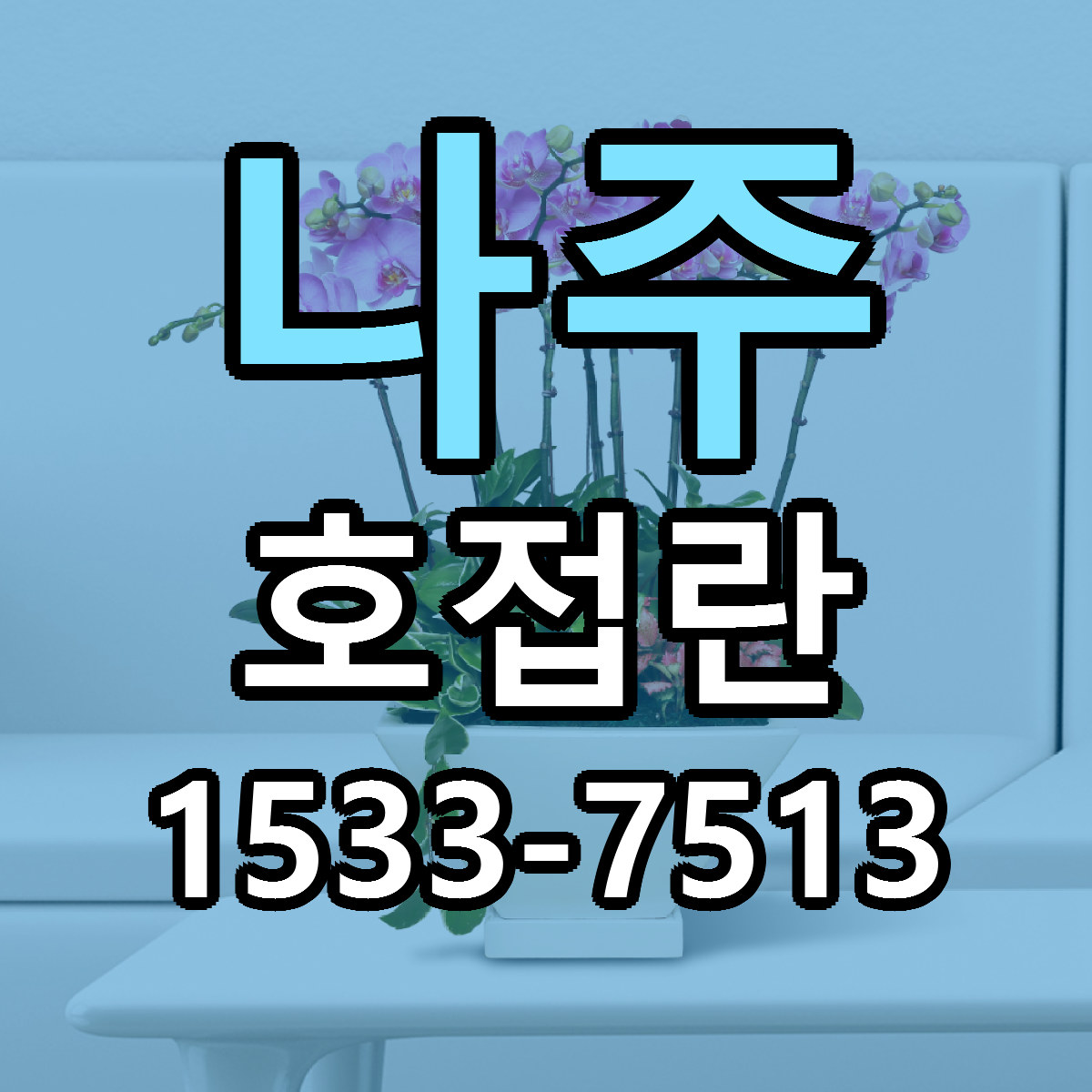 나주 호접란 근처꽃집 가격 저렴한곳 안내