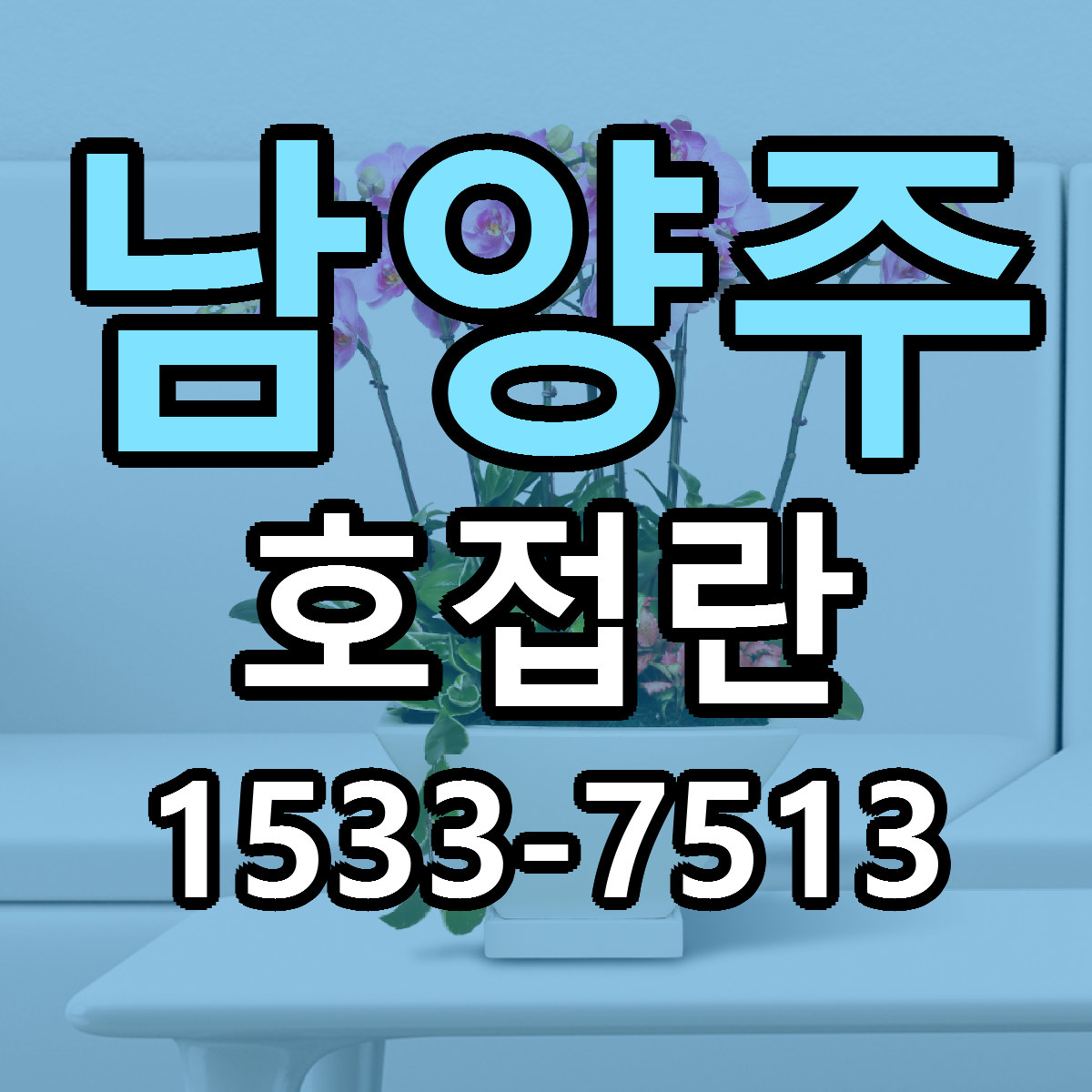 남양주 호접란 당일배송 리본문구 싼곳 찾기
