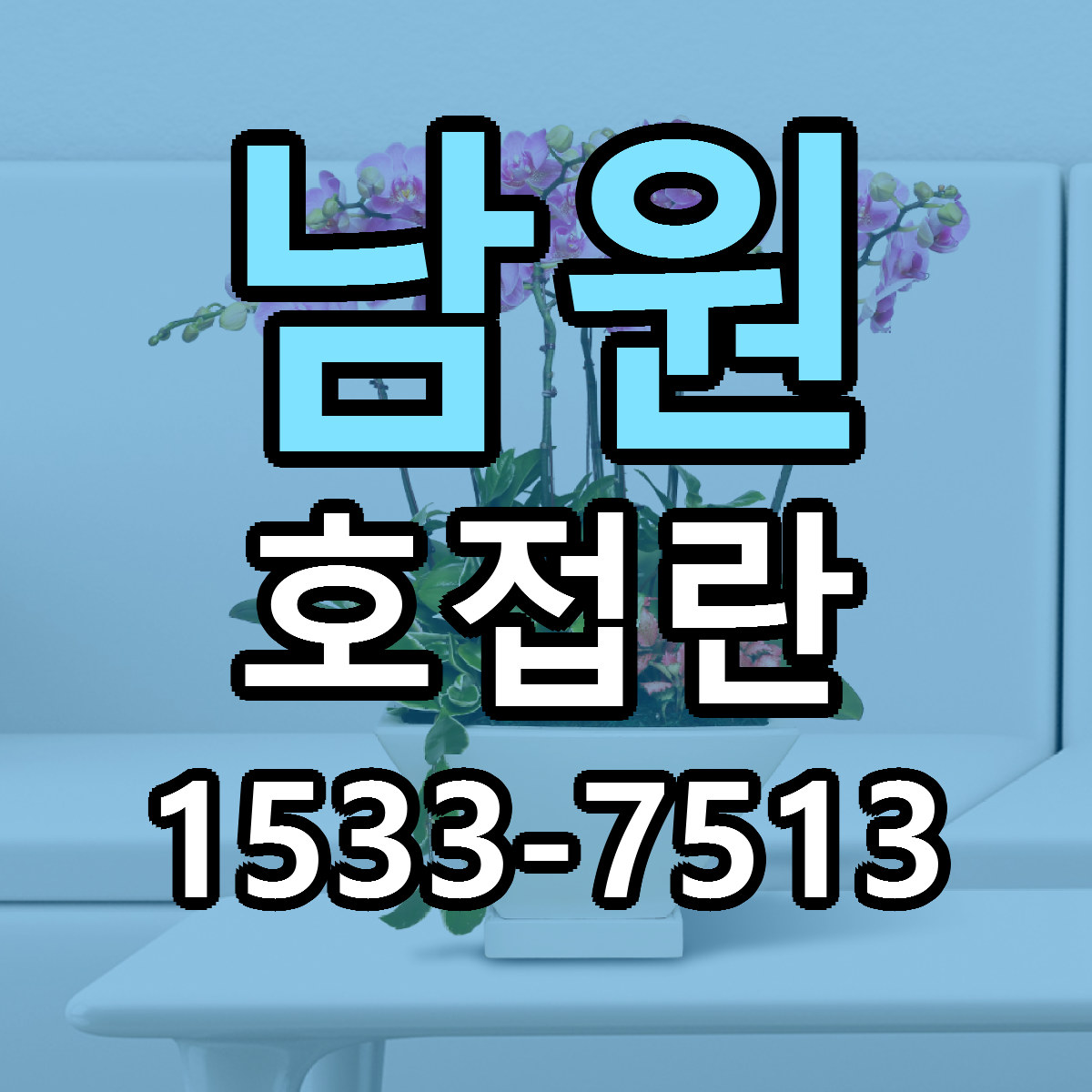 남원 호접란 근처꽃집 가격 저렴한곳 안내