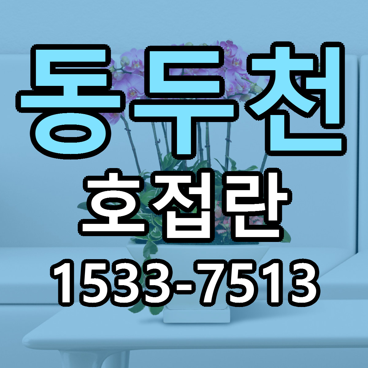 동두천 호접란 싼곳 당일배송 리본문구 작성