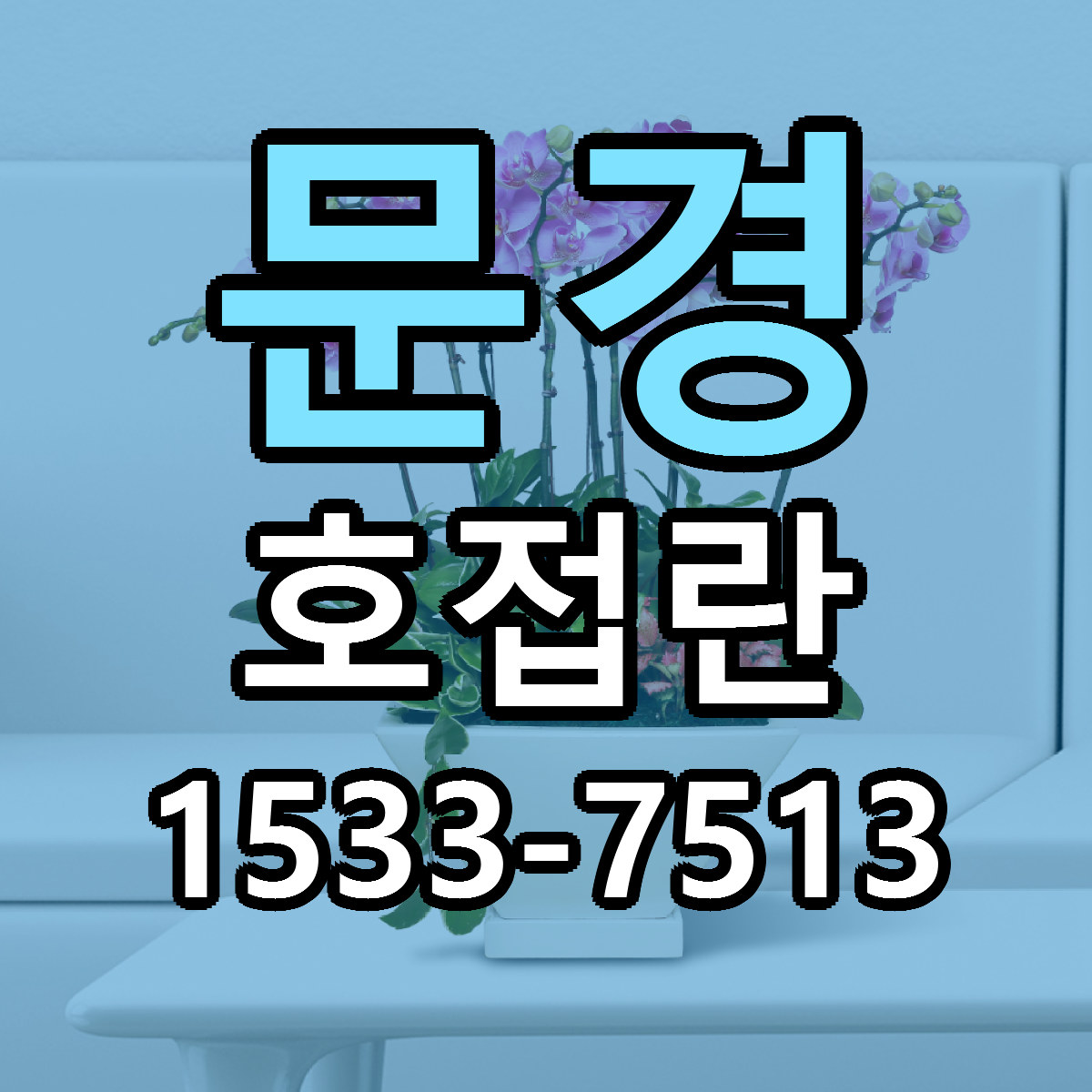 문경 호접란 싼곳 당일배송 리본문구 작성