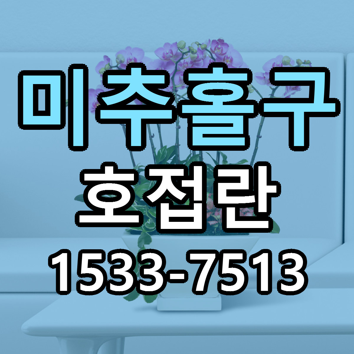 미추홀구 호접란 빠른배송 리본문구 가격 알뜰 비교