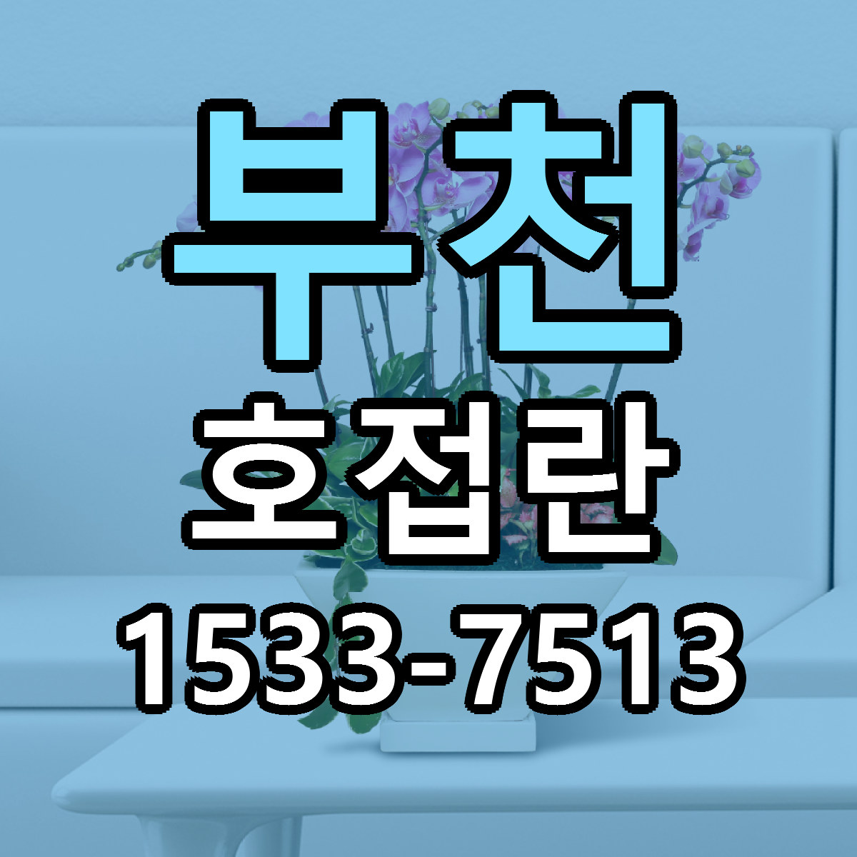 부천 호접란 리본문구 근처꽃집 저렴한곳 예약