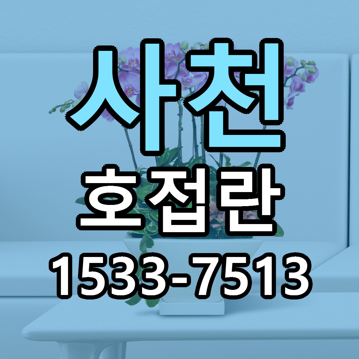 사천 호접란 가격 만족 저렴한곳 리본문구 작성
