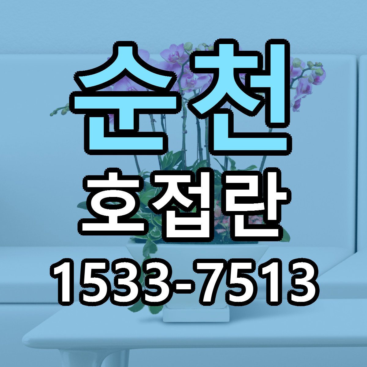 순천 호접란 리본문구 싼곳 빠른배송 예약