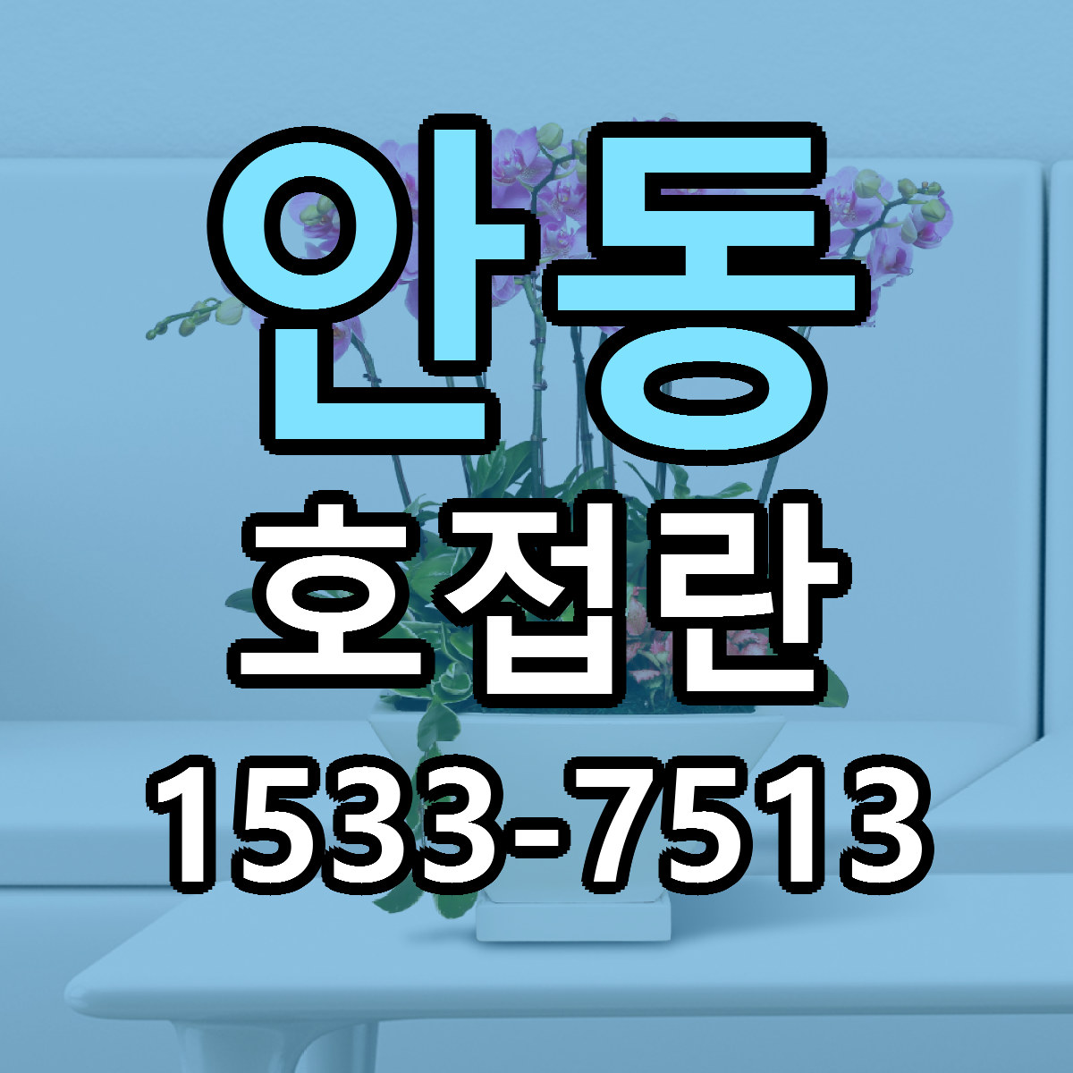 안동 호접란 싼곳 당일배송 리본문구 작성