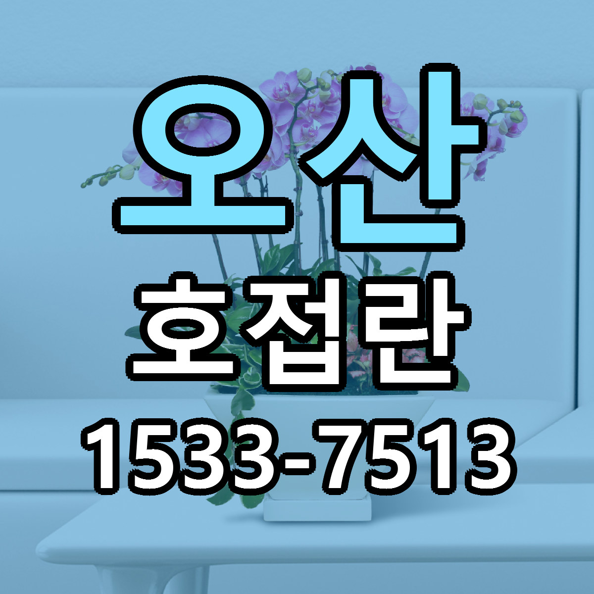 오산 호접란 근처꽃집 싼곳 빠른배송 안내