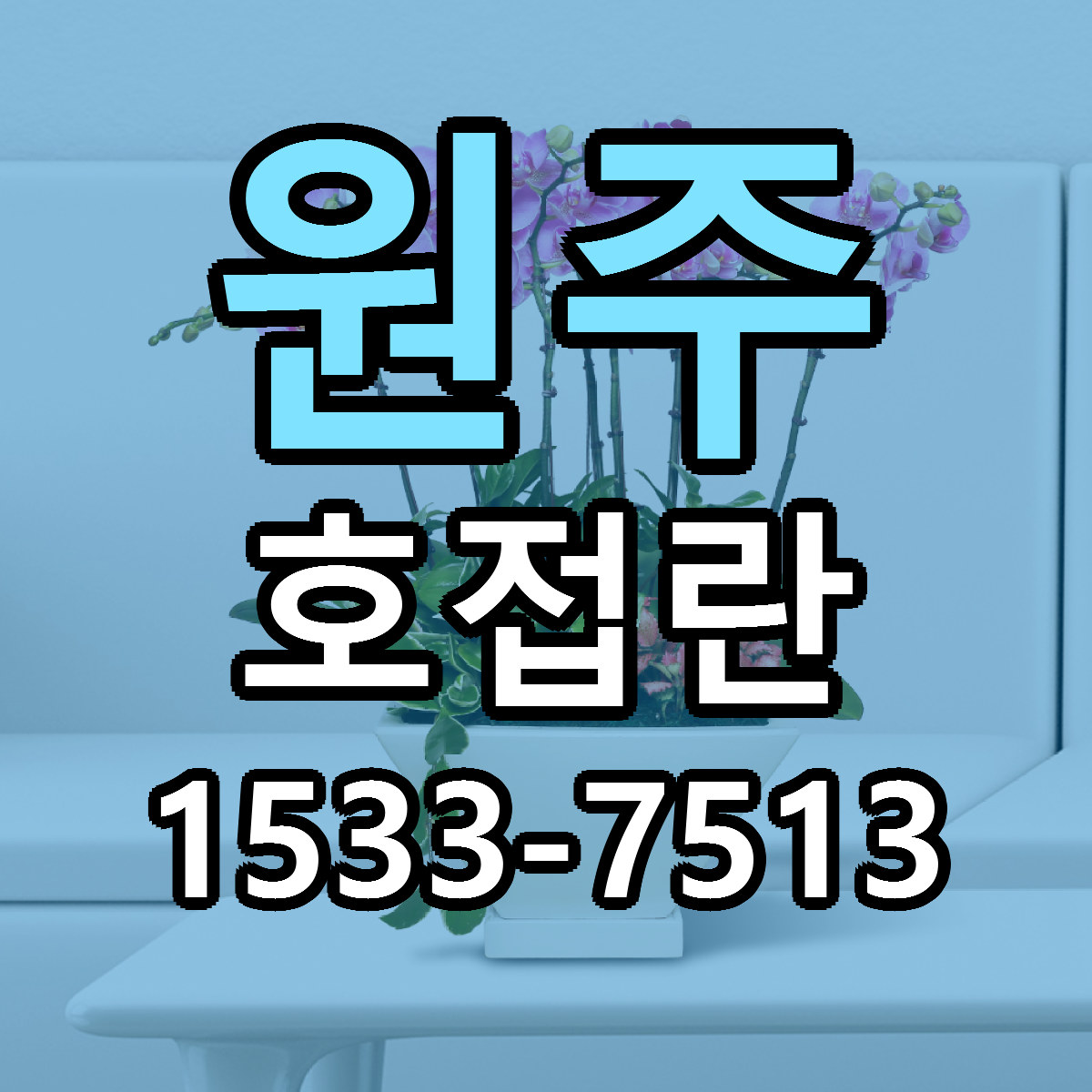 원주 호접란 리본문구 근처꽃집 저렴한곳 예약