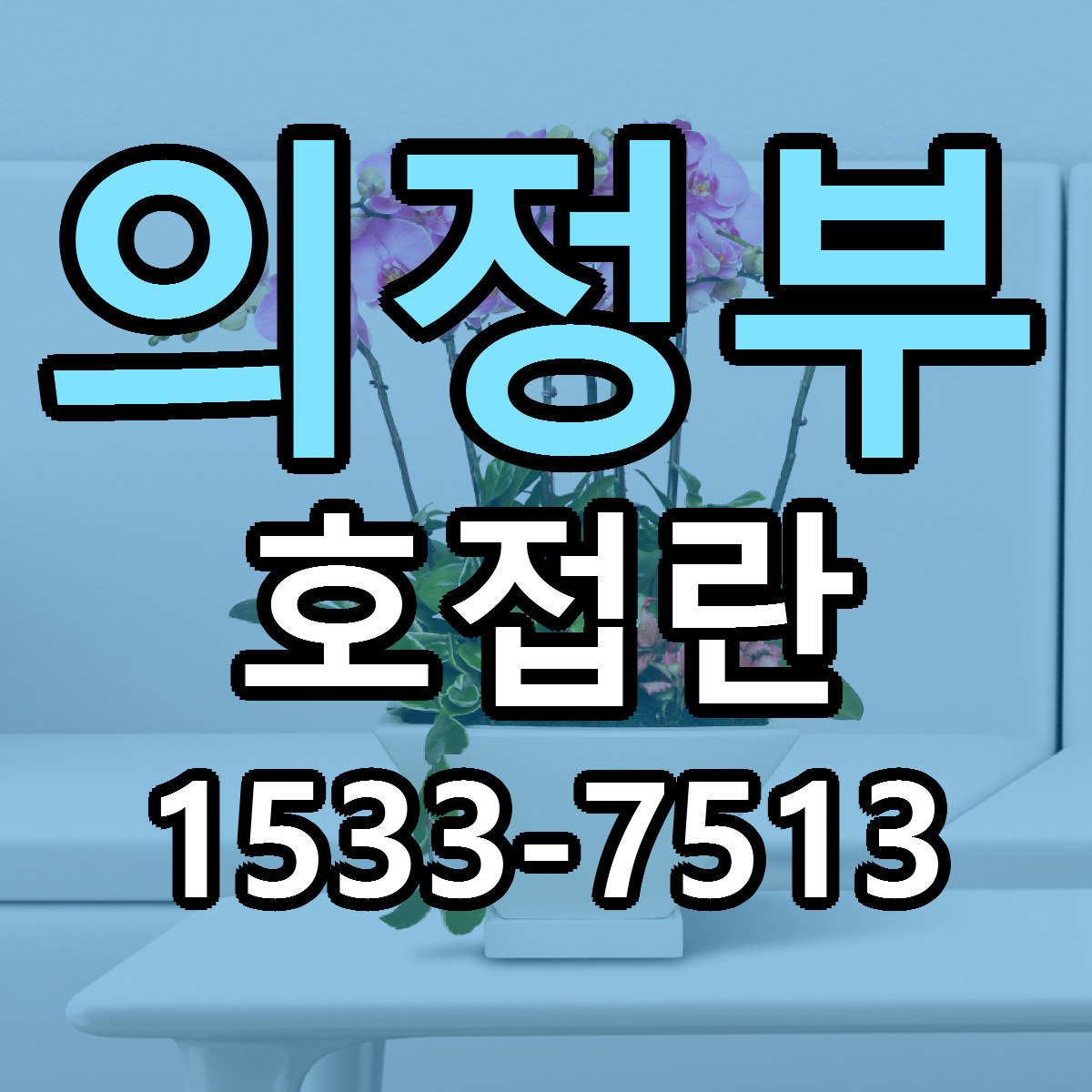 의정부 호접란 싼곳 당일배송 리본문구 작성