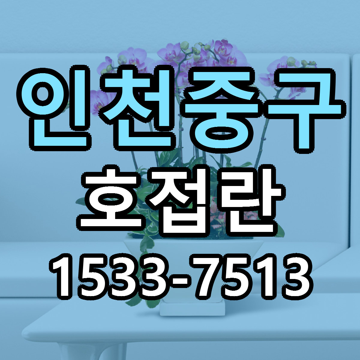 인천중구 호접란 당일배송 리본문구 싼곳 찾기