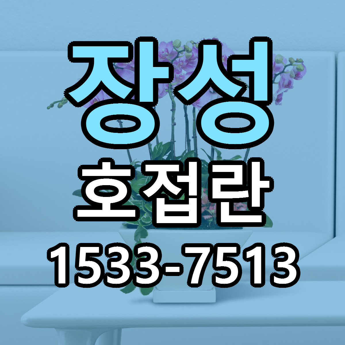 장성 호접란 근처꽃집 저렴한곳 빠른배송 서비스