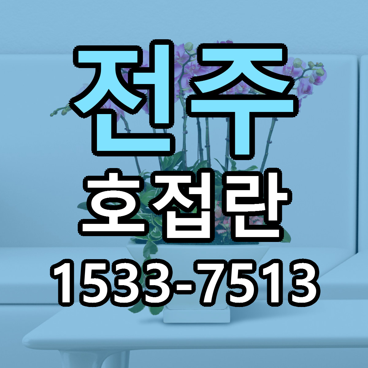 전주 호접란 근처꽃집 빠른배송 가격 문의