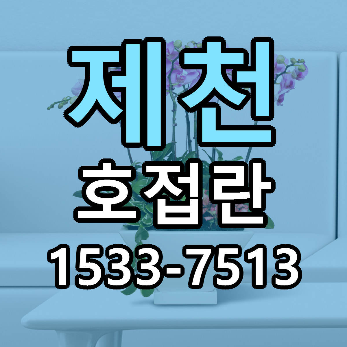 제천 호접란 리본문구 근처꽃집 저렴한곳 예약