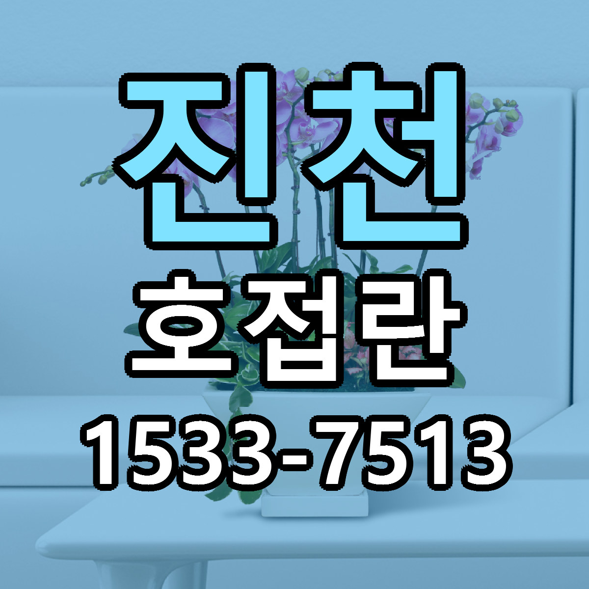진천 호접란 빠른배송 리본문구 가격 알뜰 비교