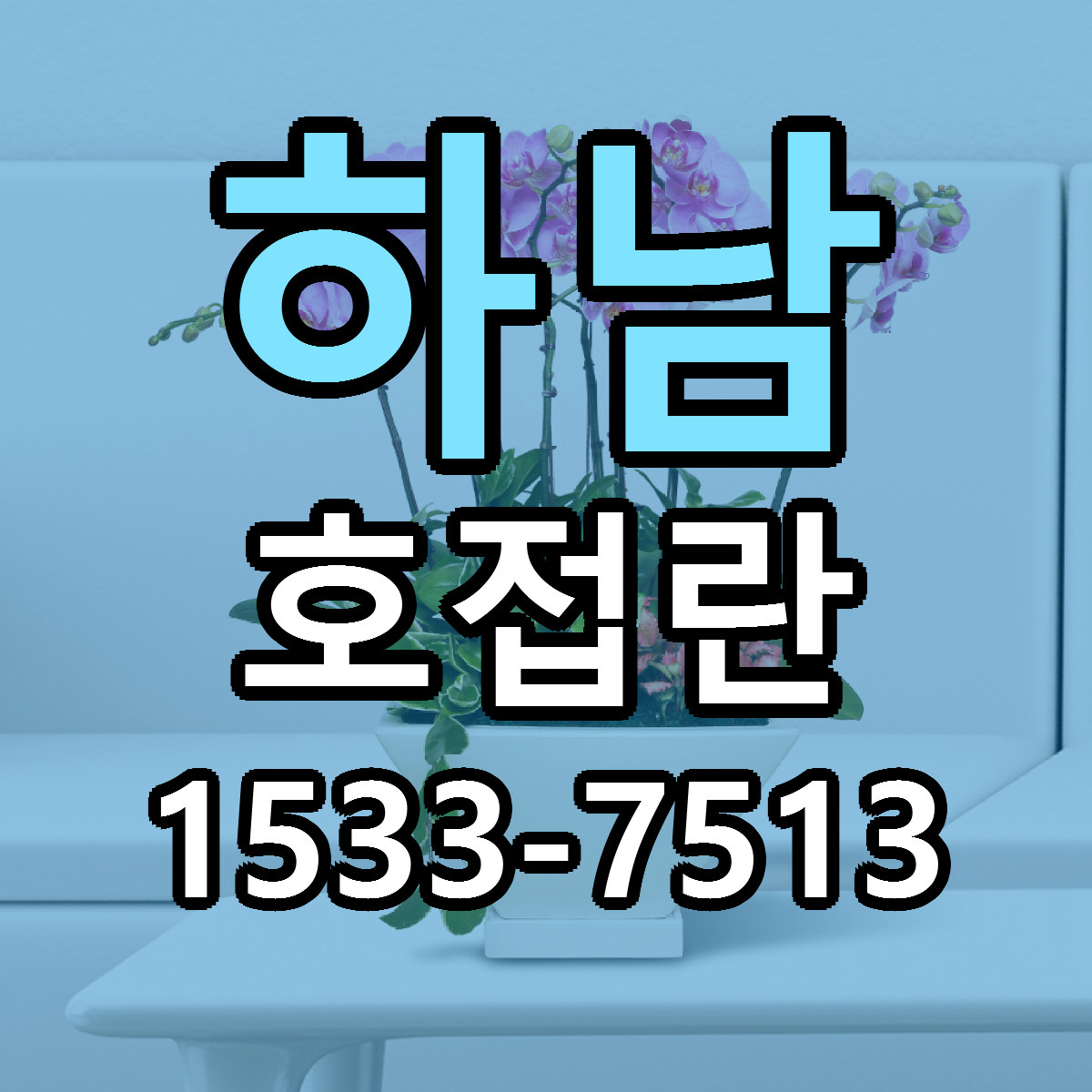 하남 호접란 빠른배송 싼곳 가격 문의