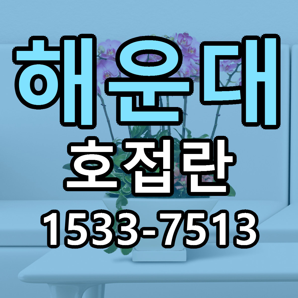 해운대 호접란 리본문구 싼곳 빠른배송 예약
