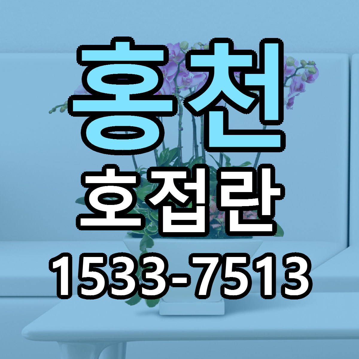 홍천 호접란 싼곳 당일배송 리본문구 작성