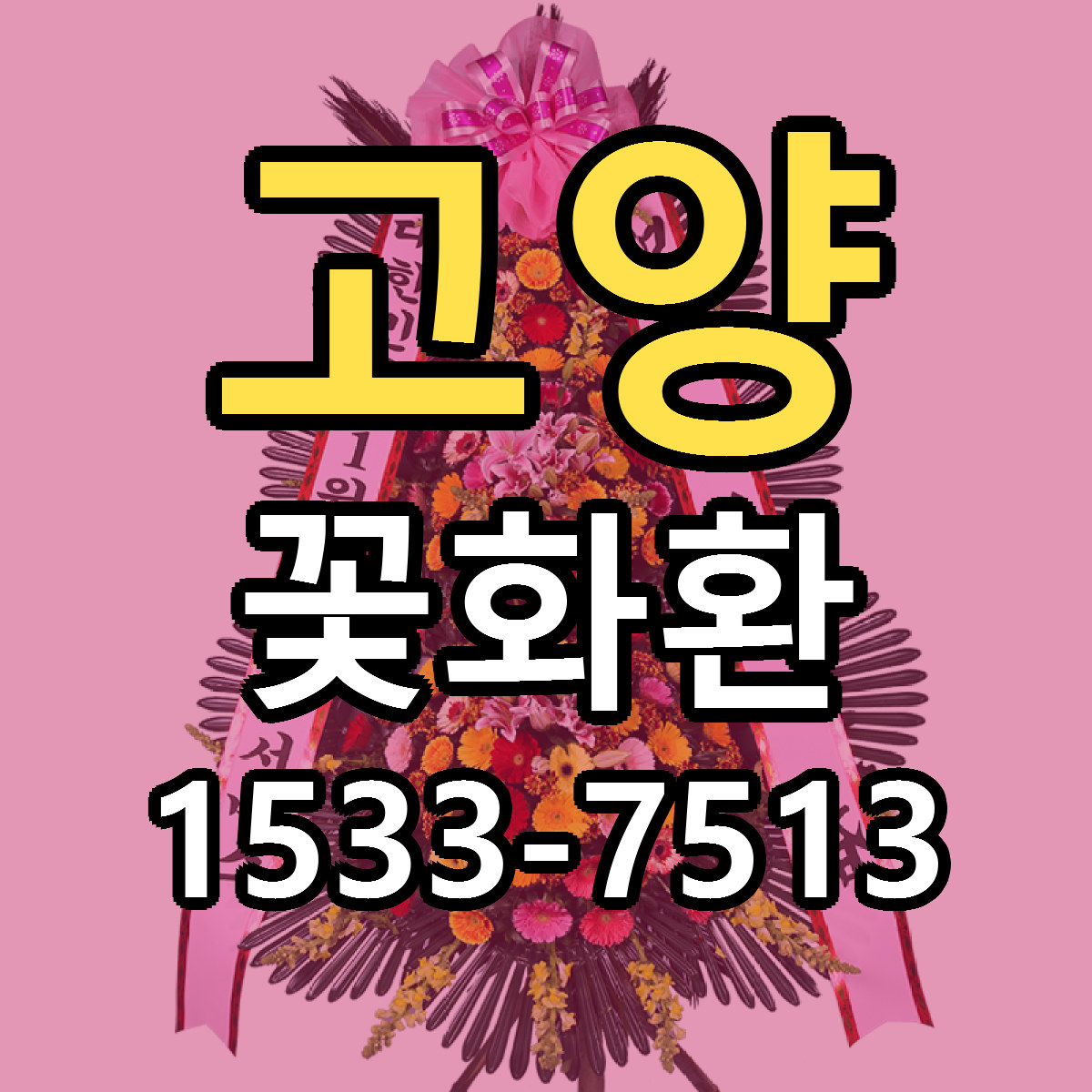 고양 꽃화환 당일배송 빠른배송 싼곳 찾기