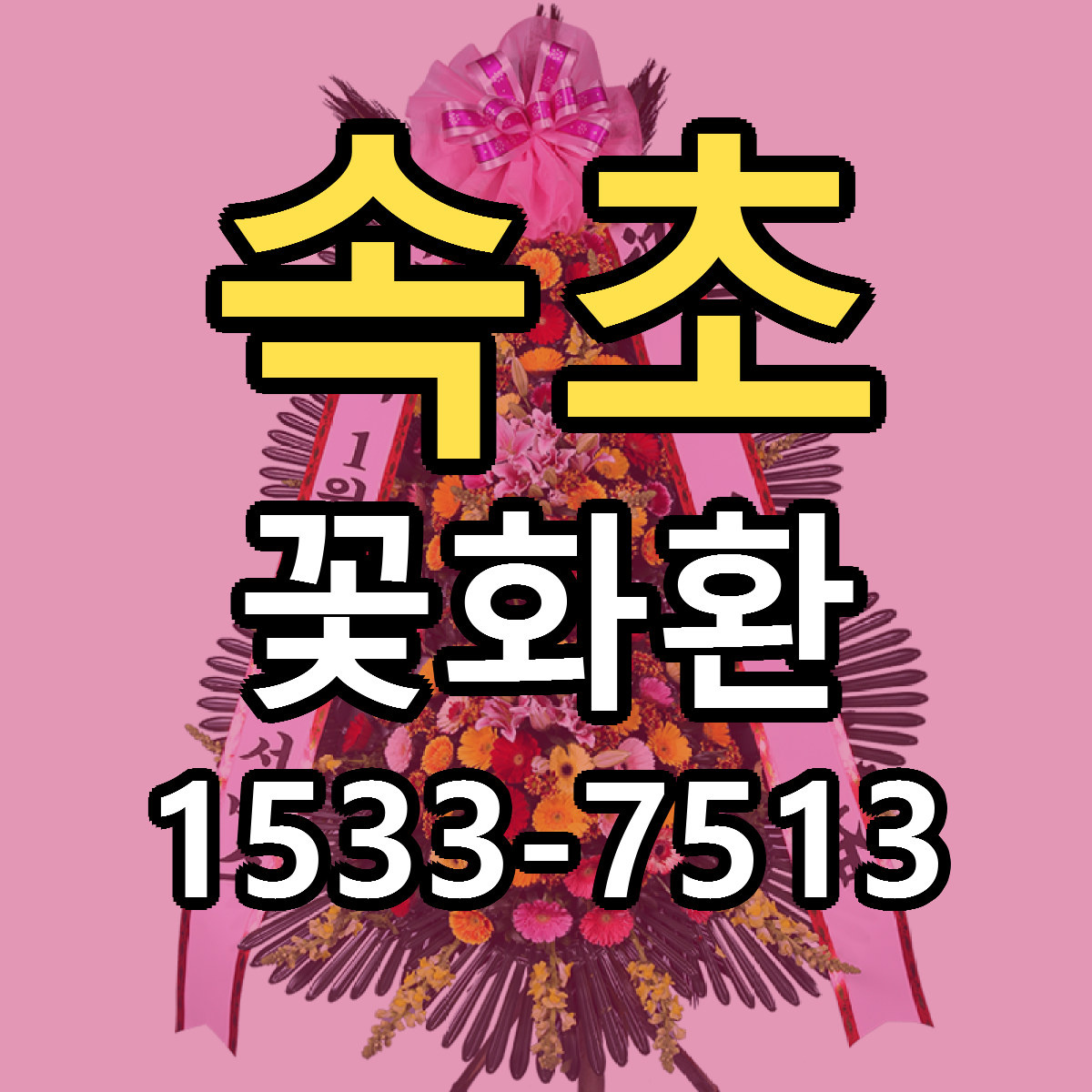 속초 꽃화환 근처꽃집 당일배송 싼곳 추천