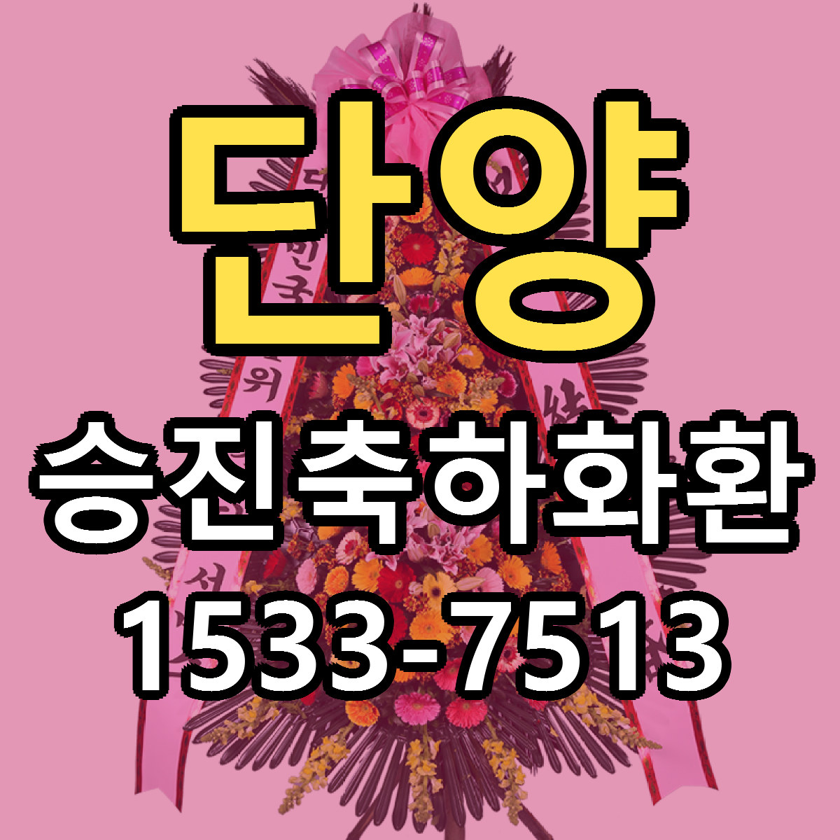 단양 승진축하화환 빠른배송 리본문구 가격 알뜰 비교