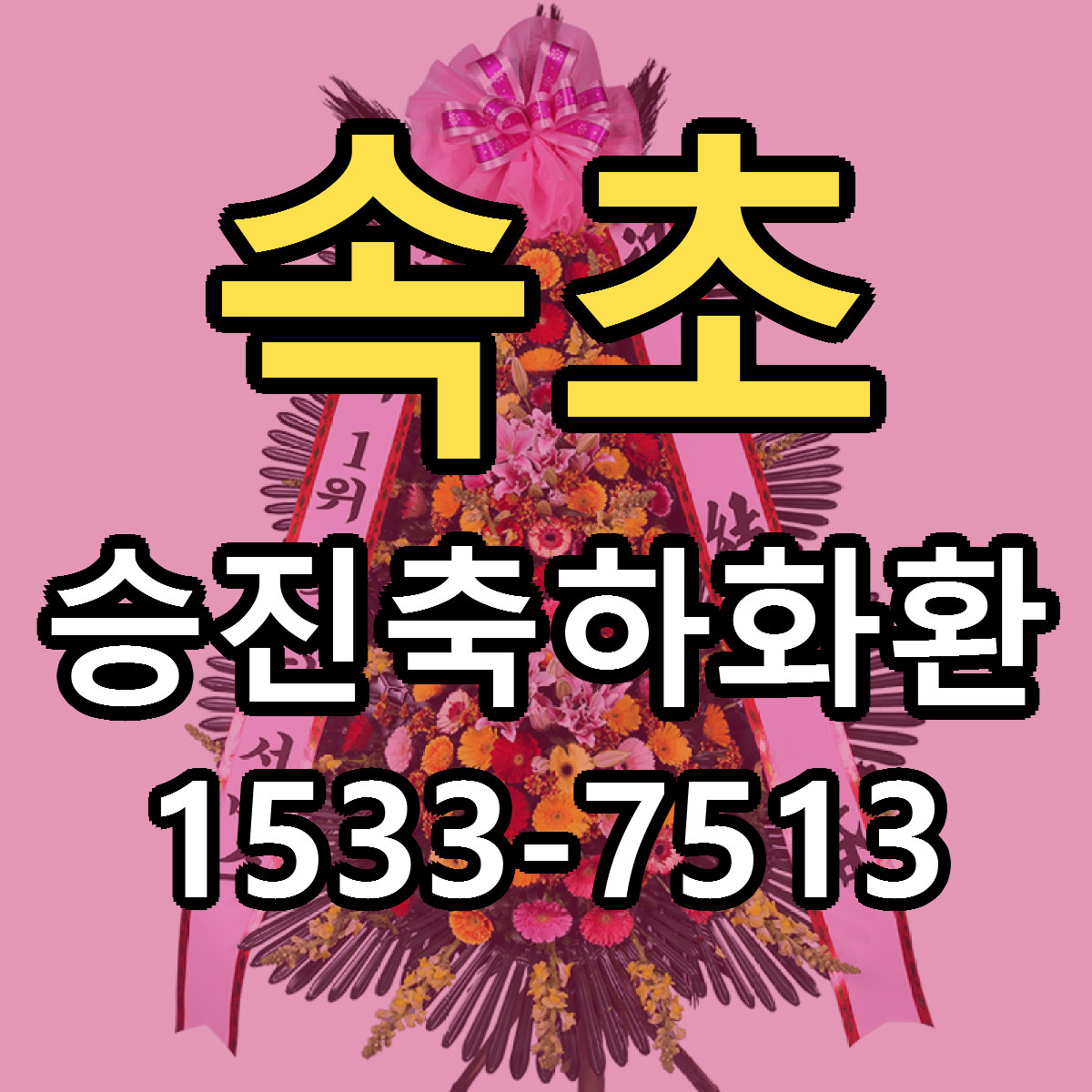 속초 승진축하화환 빠른배송 리본문구 가격 알뜰 비교