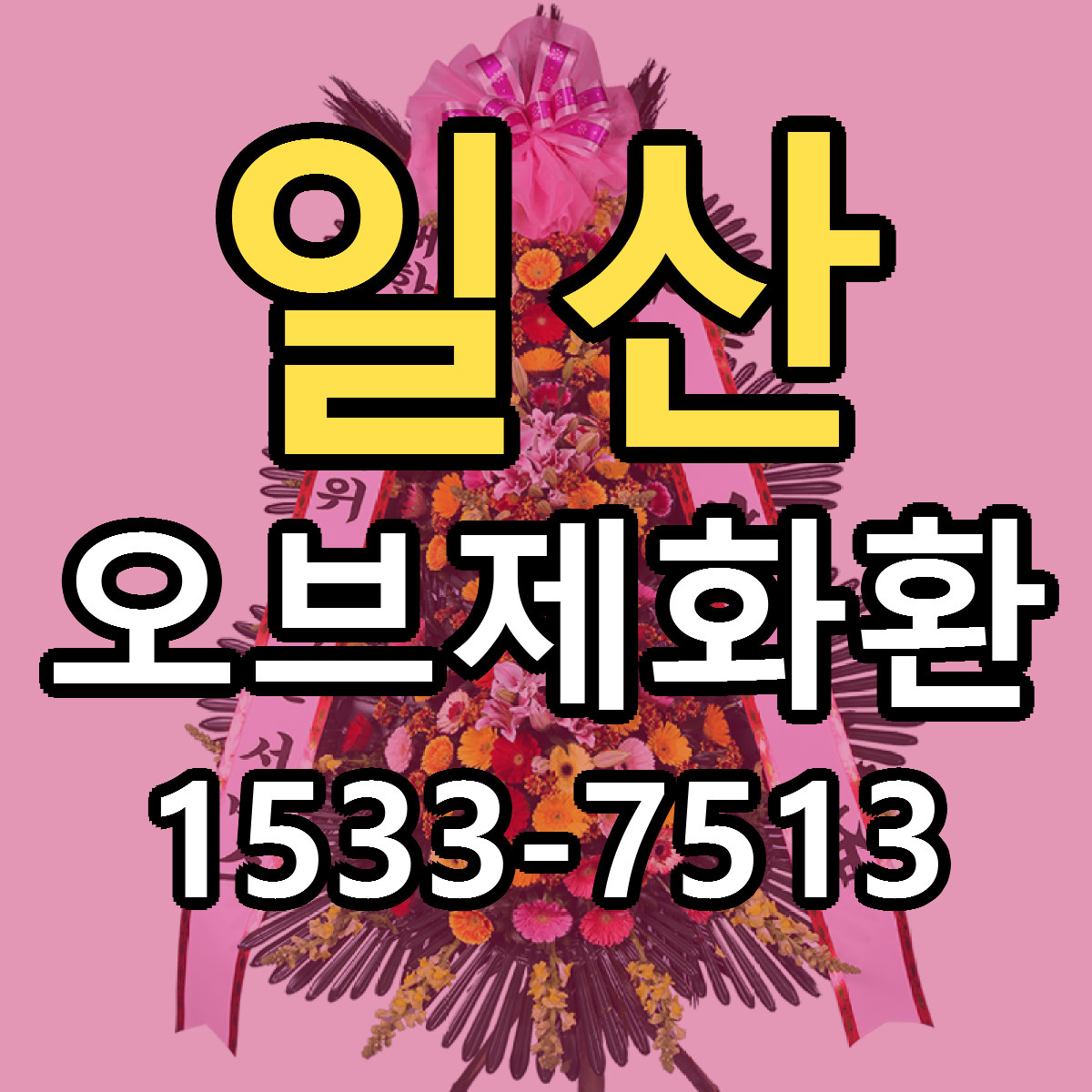 일산 오브제화환 근처꽃집 당일배송 가격 안내